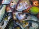 Fish 1 pastel