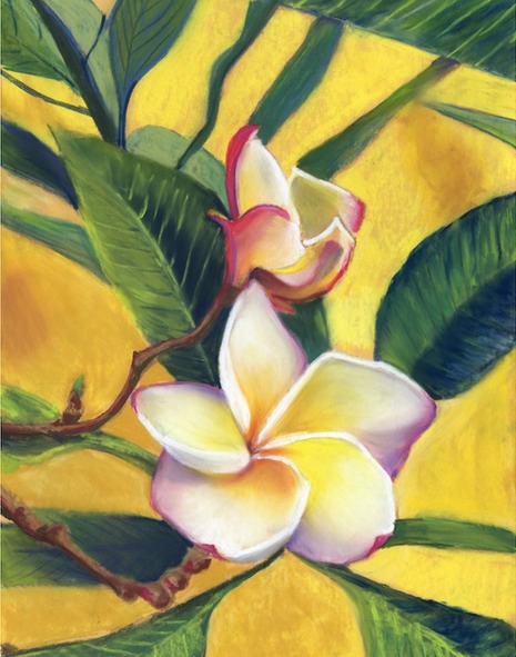 Frangipani 2M